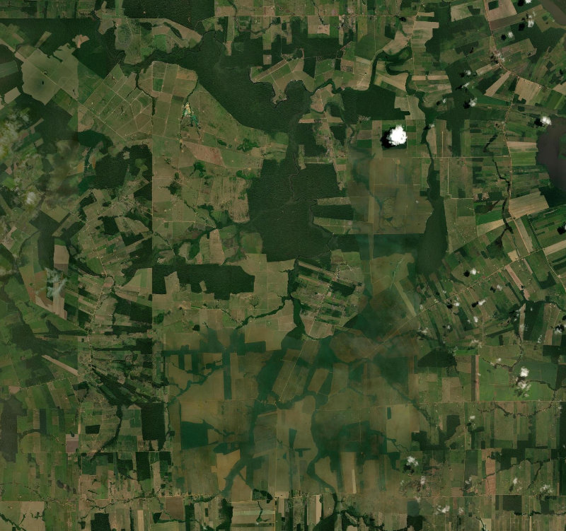 Satellite view of Rondônia, Brazil